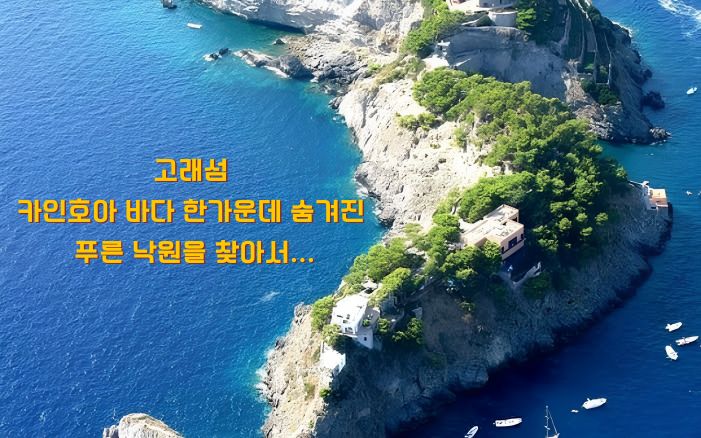 고래섬 – 카인호아 바다 한가운데 숨겨진 푸른 낙원을 찾아서